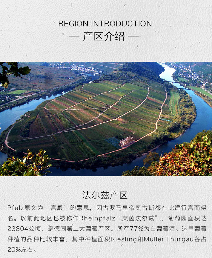 德国酒门 丹菲特 高级干红葡萄酒 750ml