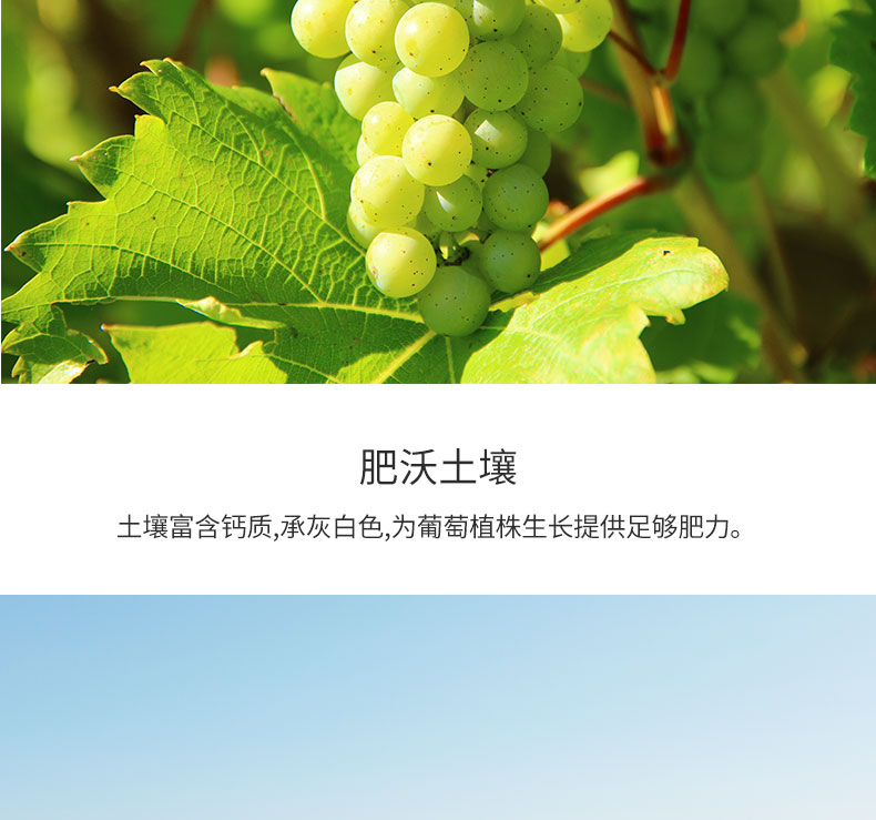 意大利 DILE 帝力 天使之手草莓味配制酒 750ml